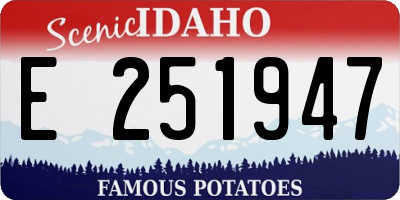 ID license plate E251947