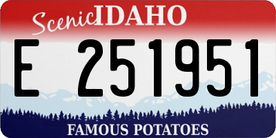 ID license plate E251951