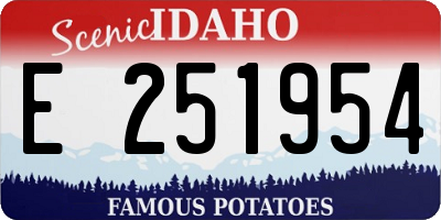 ID license plate E251954