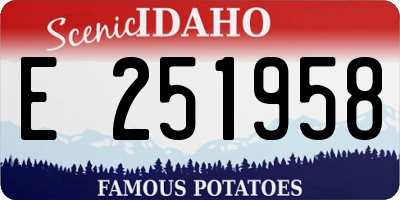 ID license plate E251958