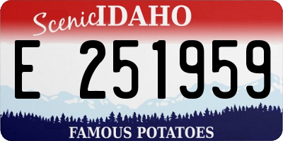 ID license plate E251959