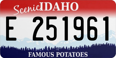 ID license plate E251961