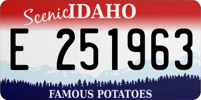 ID license plate E251963