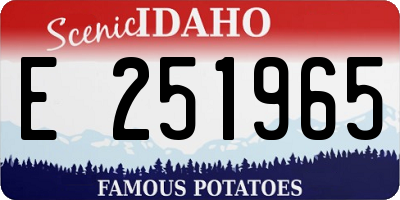 ID license plate E251965