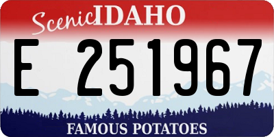 ID license plate E251967