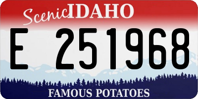 ID license plate E251968