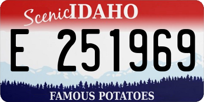 ID license plate E251969