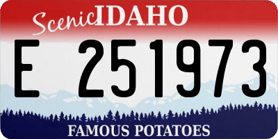 ID license plate E251973