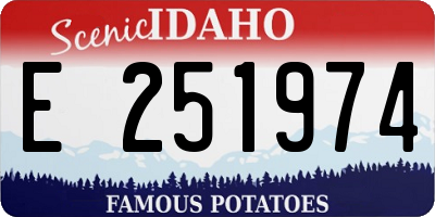 ID license plate E251974