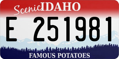 ID license plate E251981