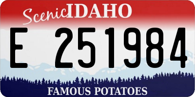 ID license plate E251984
