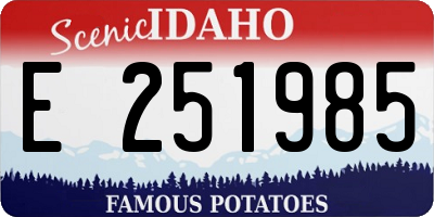 ID license plate E251985