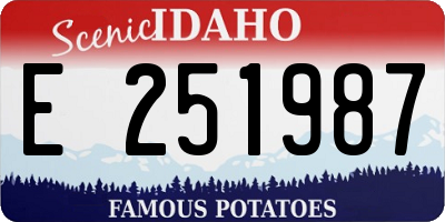 ID license plate E251987