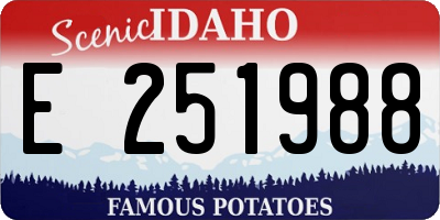 ID license plate E251988