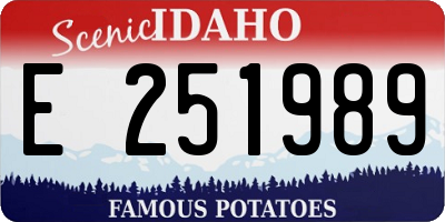 ID license plate E251989