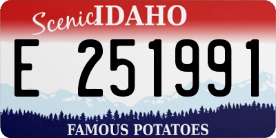 ID license plate E251991