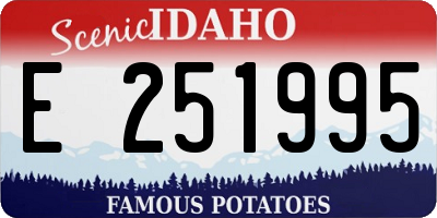 ID license plate E251995