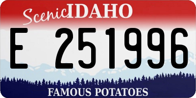ID license plate E251996