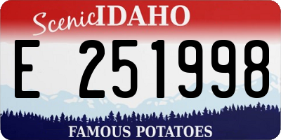 ID license plate E251998