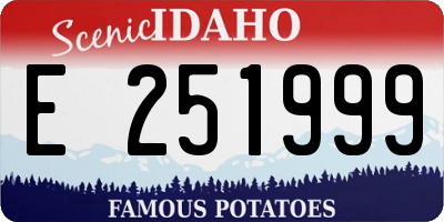ID license plate E251999