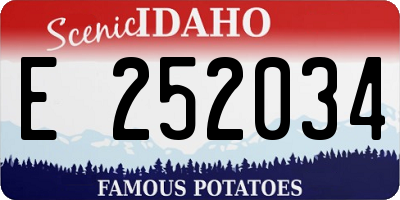 ID license plate E252034