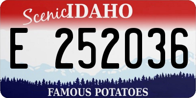 ID license plate E252036