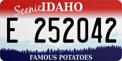 ID license plate E252042