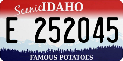 ID license plate E252045