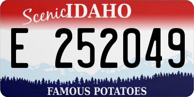 ID license plate E252049