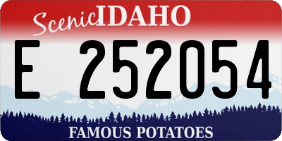 ID license plate E252054