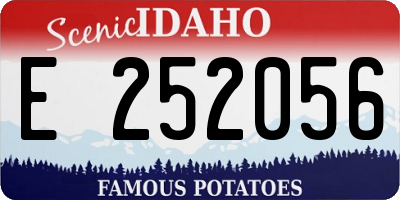 ID license plate E252056