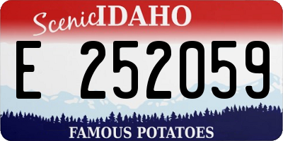 ID license plate E252059