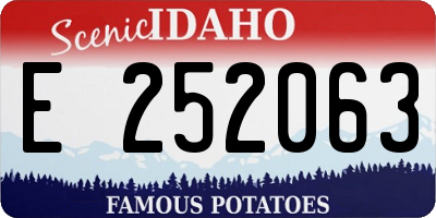 ID license plate E252063