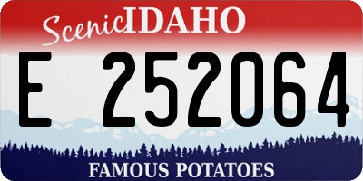 ID license plate E252064