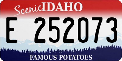 ID license plate E252073