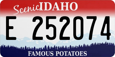 ID license plate E252074