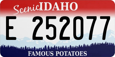 ID license plate E252077