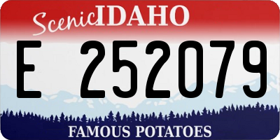 ID license plate E252079