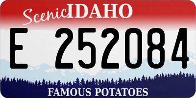 ID license plate E252084