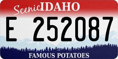ID license plate E252087