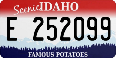 ID license plate E252099