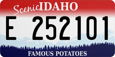 ID license plate E252101