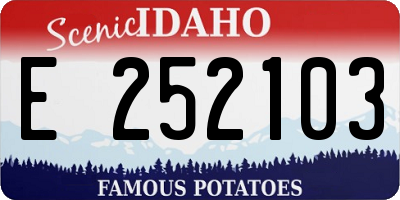 ID license plate E252103