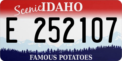 ID license plate E252107