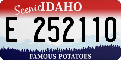 ID license plate E252110
