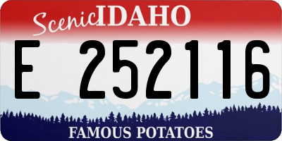 ID license plate E252116