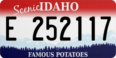 ID license plate E252117