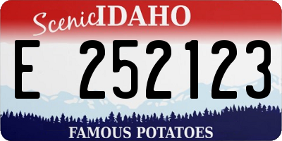 ID license plate E252123