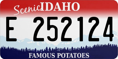 ID license plate E252124
