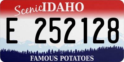 ID license plate E252128